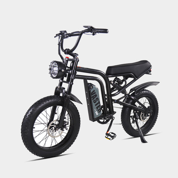 20 Inch Electric Bike Fat Tire 48V Removable Battery ,Electric Bicycle for Adults 5 Speed All-Terrain,Full Suspension E-bike Up To 30 MPH