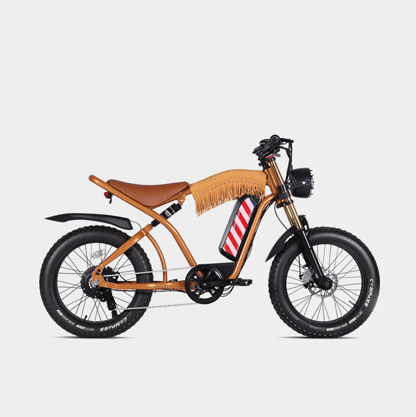 Westlife Off-Road Aluminum Electric Bike Fat Tire,Electric Bicycle For Adults Full Suspension,Fast Ebike 30 MPH