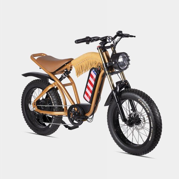 Westlife Off-Road Aluminum Electric Bike Fat Tire,Electric Bicycle For Adults Full Suspension,Fast Ebike 30 MPH