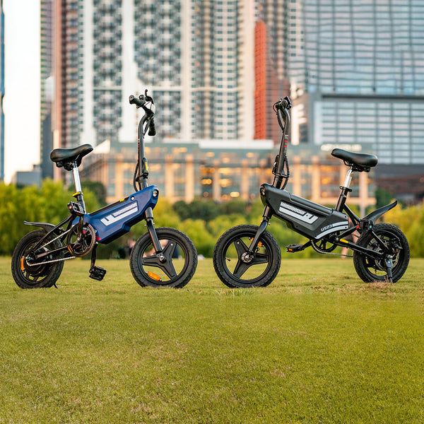 CityLoop Folding Electric Bike