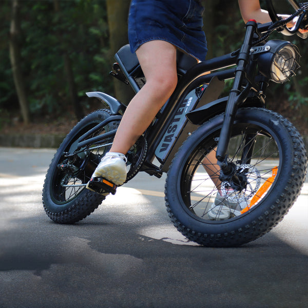 20 Inch Electric Bike Fat Tire 48V Removable Battery ,Electric Bicycle for Adults 5 Speed All-Terrain,Full Suspension E-bike Up To 30 MPH