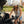CityLoop Folding Electric Bike